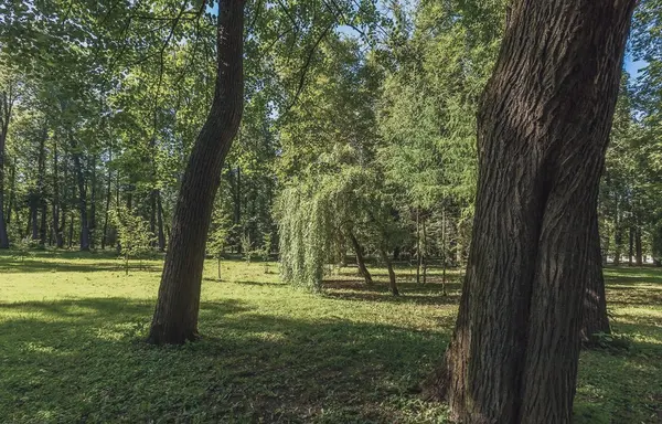 Рендер: ЖК «Диус»
