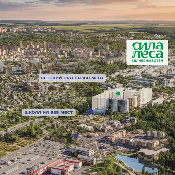 Рендер: ЖК «Сила леса»